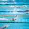 A Group Of Swimmers Swimming In A Public Pool Facility.